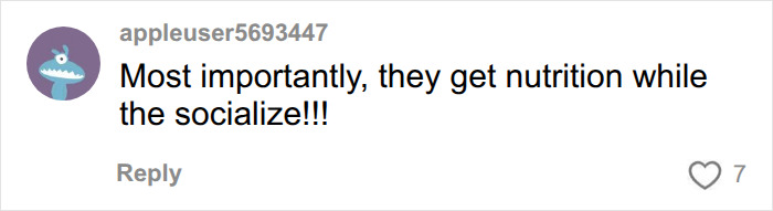 A comment highlighting the importance of nutrition and socialization during school lunch in the USA vs France comparison. A comment highlighting the importance of nutrition and socialization during school lunch in the USA vs France comparison.
