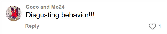 Screenshot of a comment from a social media user about the incident at the pool. Screenshot of a comment from a social media user about the incident at the pool.