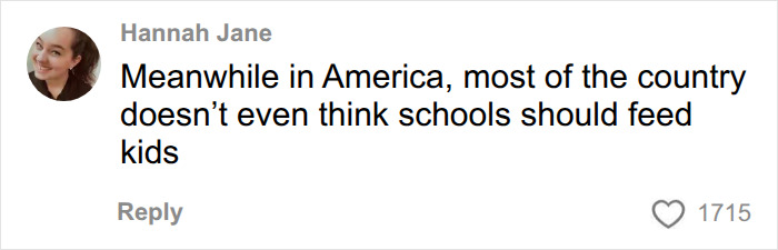 A screenshot of a comment about schools not feeding kids in America, comparing school lunch in France to USA. A screenshot of a comment about schools not feeding kids in America, comparing school lunch in France to USA.