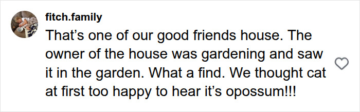 A social media comment from fitch.family describing how their friend found the massive python in their garden.