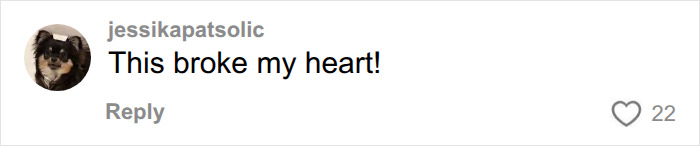 A comment expressing heartbreak over the White Karen confronting a Black dad with kids at the pool. A comment expressing heartbreak over the White Karen confronting a Black dad with kids at the pool.