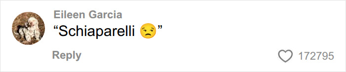 A social media comment by Eileen Garcia saying, Schiaparelli, about encountering worst celebrities. A social media comment by Eileen Garcia saying, Schiaparelli, about encountering worst celebrities.