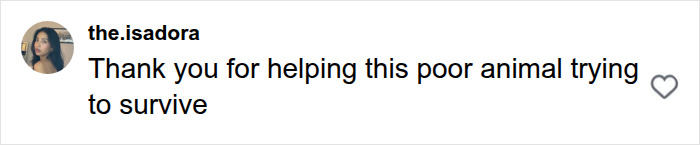 A social media comment from the.isadora thanking for help given to the massive python found in New Jersey.
