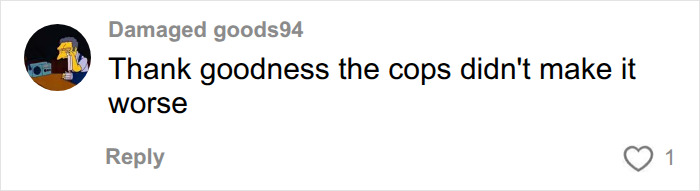 A comment from Damaged goods94 says, Thank goodness the cops didn't make it worse in the Karen confronts Black dad at pool case. A comment from Damaged goods94 says, Thank goodness the cops didn't make it worse in the Karen confronts Black dad at pool case.