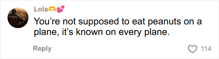A comment stating people aren't supposed to eat peanuts on a plane, highlighting the passenger's selfish act. A comment stating people aren't supposed to eat peanuts on a plane, highlighting the passenger's selfish act.