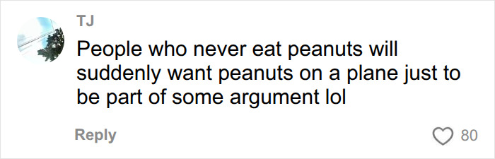 A comment from TJ humorously pointing out the desire to eat peanuts on a plane during an argument. A comment from TJ humorously pointing out the desire to eat peanuts on a plane during an argument.