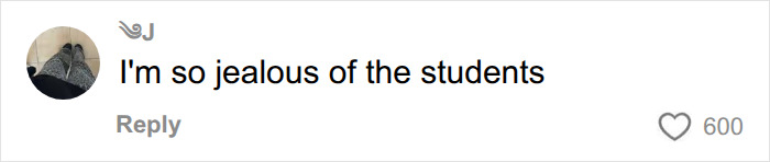 A social media comment from 'L' supporting a teacher's dress code choice, saying 'I'm so jealous of the students' with 600 likes. A social media comment from 'L' supporting a teacher's dress code choice, saying 'I'm so jealous of the students' with 600 likes.