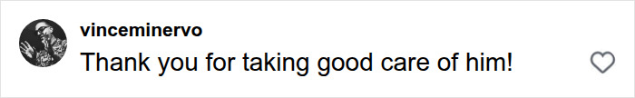 A social media comment from vinceminervo thanking someone for caring for the python after its last meal was revealed.