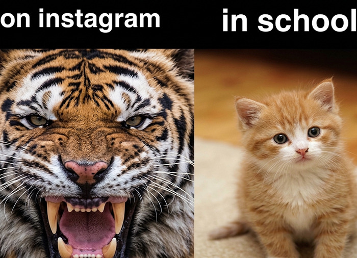 A meme comparing a roaring tiger on Instagram to a cute kitten in school, highlighting unhinged memes for mood change.