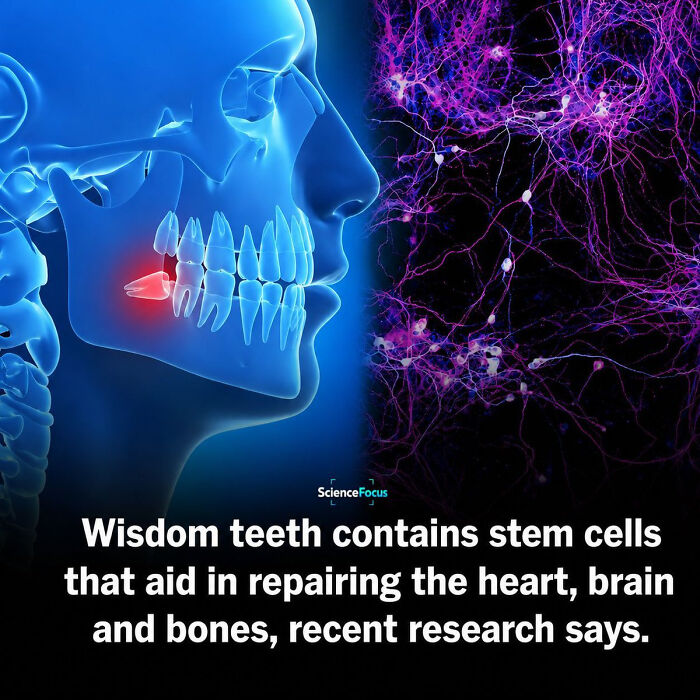 If Your Daily Routine Includes Learning Something New, Here Are 65 Facts You Might Have Missed