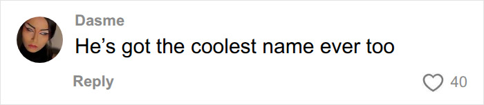 Fans react to Disney heartthrob; a comment praising the heartthrob's name.