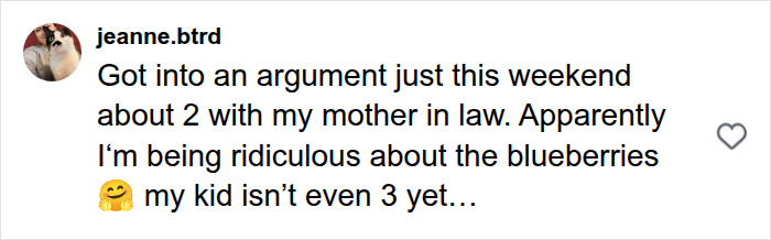 jeanne.btrd discusses parental disagreements on things children should not do, mentioning blueberries for toddlers.