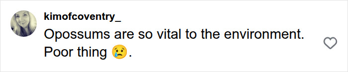 A social media user comments on an X-Ray of a massive python, stating Opossums are vital to the environment.