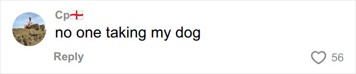 User Cp from England comments on the potential ban of dog breeds in the UK, asserting no one is taking his dog. User Cp from England comments on the potential ban of dog breeds in the UK, asserting no one is taking his dog.