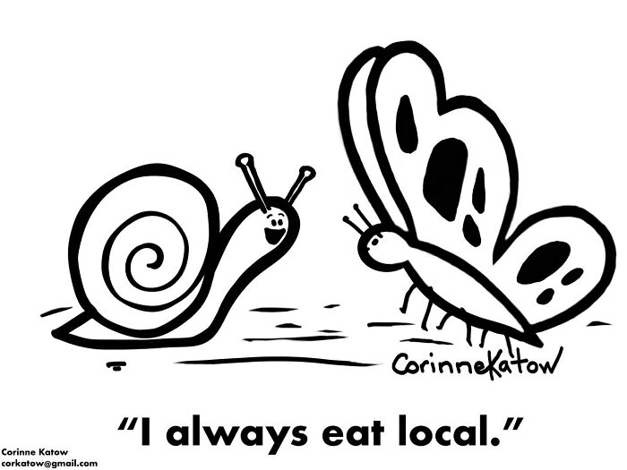 A single-panel cartoon by Corinne Katow of a snail and a butterfly, with the snail saying: I always eat local.