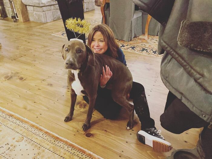 A celebrity woman sitting on a wooden floor, affectionately hugging a grey dog wearing a halo headband, revealing what dating a celebrity is like.