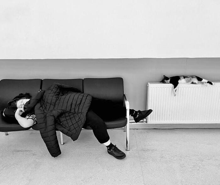 A candid moment from the streets: a person sleeping on a bench with a cat on a radiator, by Sami Uçan.
