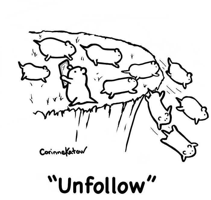 A clever single-panel cartoon by Corinne Katow of a hamster taking a selfie as others fall off a cliff. Brilliant joke about social media.