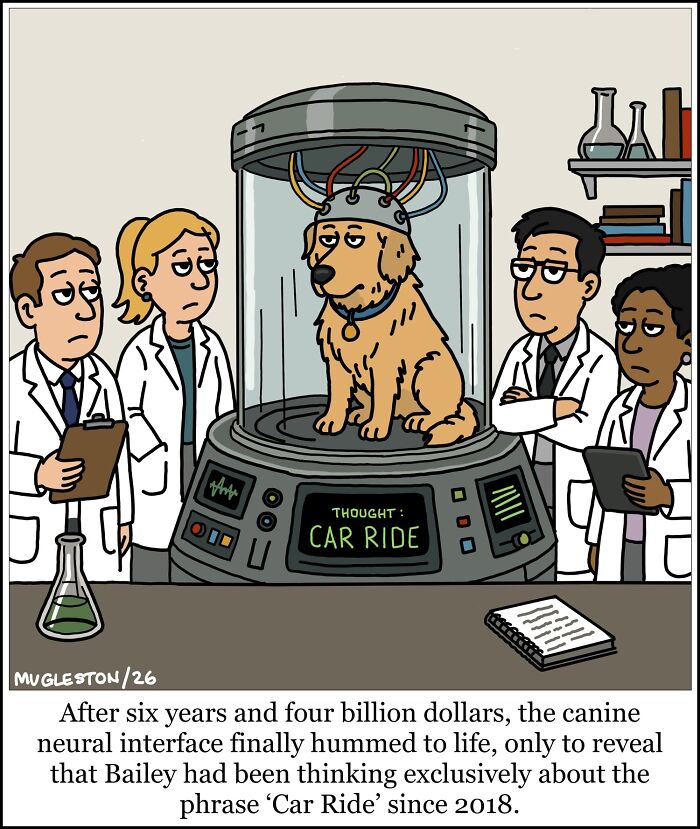 These 30 Single-Panel Cartoons Find The Humor In People Acting Way Too Calm During Absolute Chaos