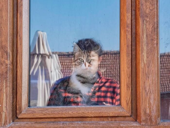 A candid moment from the streets: a cat's face is reflected over a person's body in a window, creating an illusion.