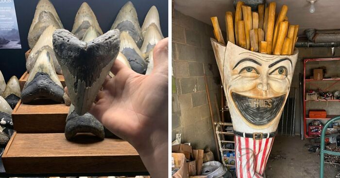 80 Fascinating Collectibles That Prove One Person’s Trash Is Another Person’s Treasure
