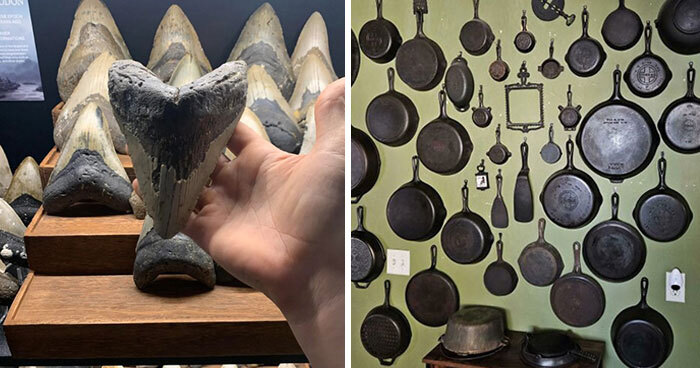 80 Things People Proudly Collect That Might Surprise You