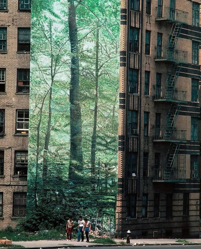 Brilliant and beautiful designs, a striking mural of a forest scene painted on the side of a brick building.
