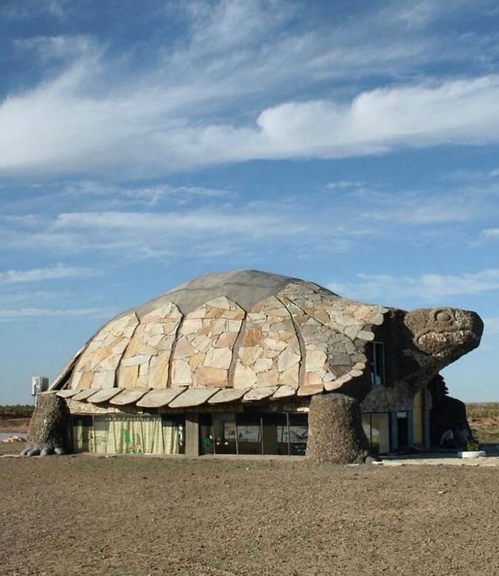 A brilliant and beautiful design of a building shaped like a giant tortoise, with a stone shell and head.