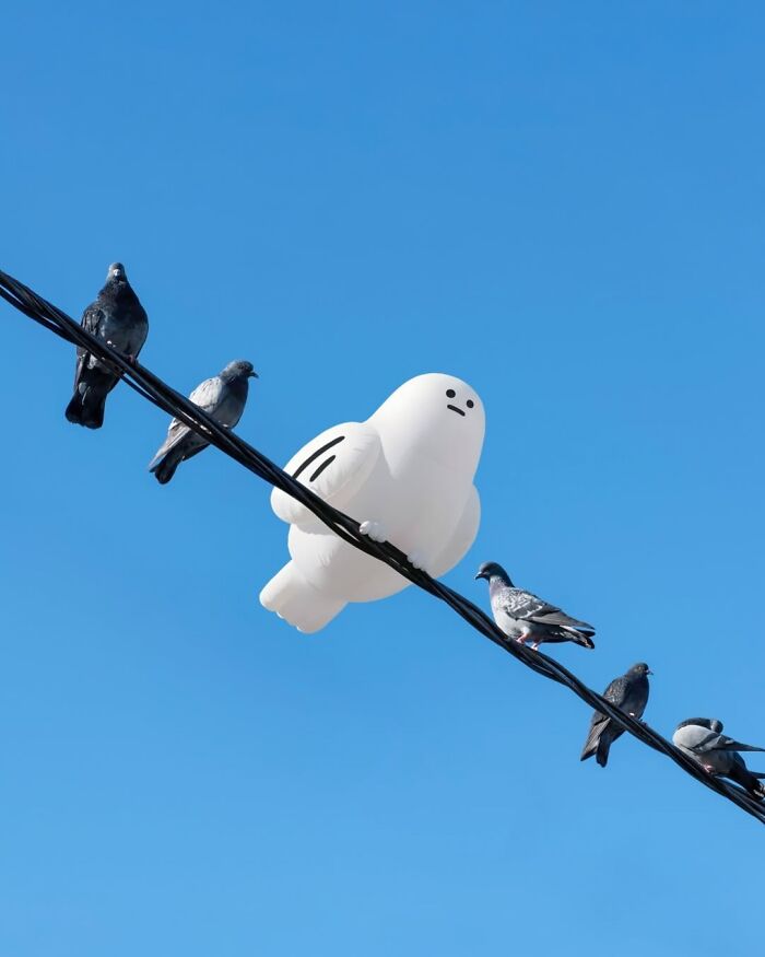 Several pigeons on a power line with a large white cartoon-like bird in the center, a brilliant and beautiful design.