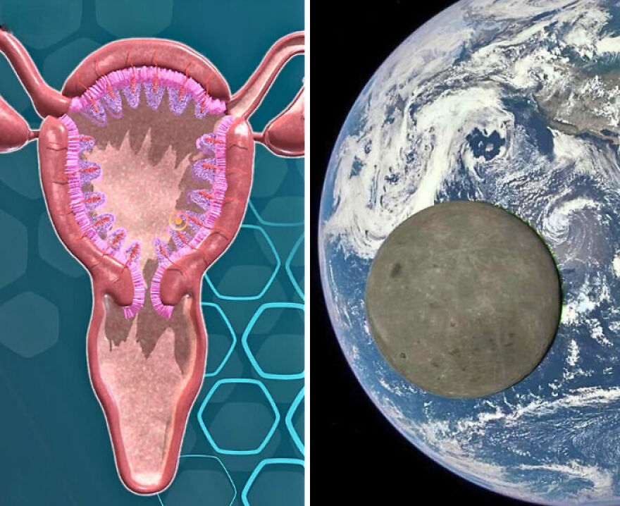 A side-by-side comparison of a human uterus and the moon against the Earth, illustrating incredible things happening on Earth.