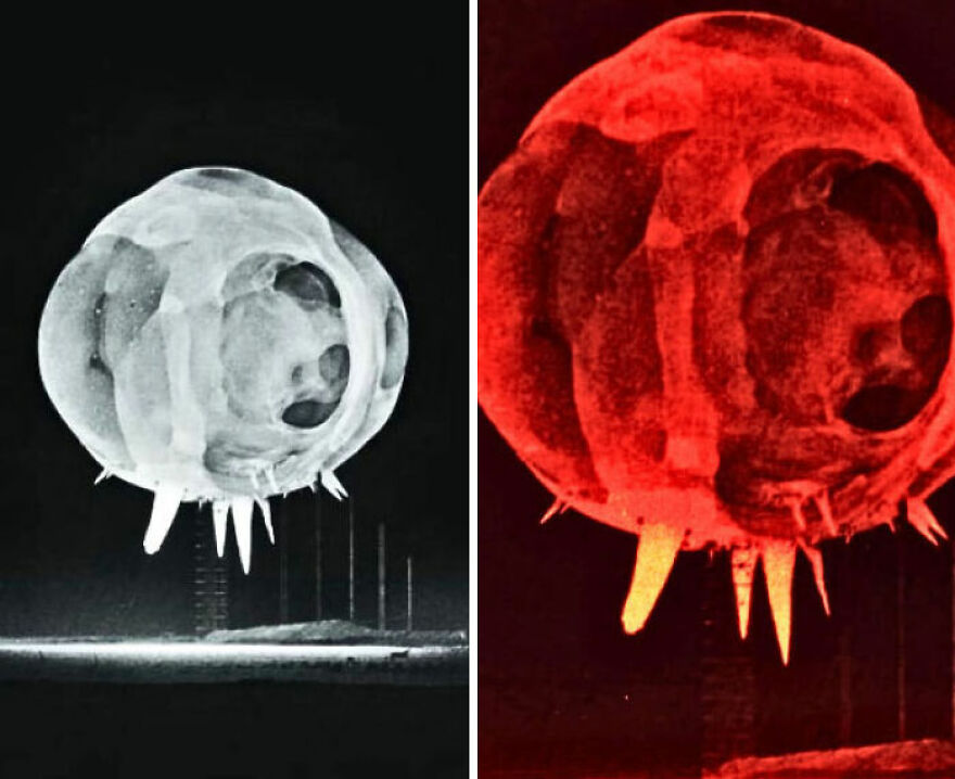 Strange thing happening on Earth: A mushroom cloud captured in black and white and red.