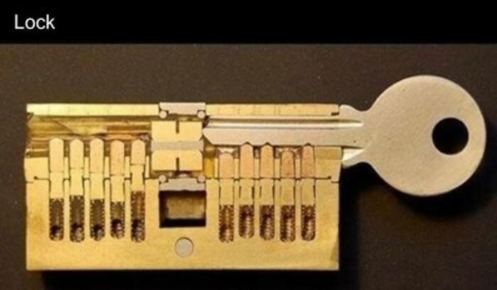 Detailed image of a lock cut in half, revealing the internal pins and key mechanism, one of many objects cut in half.