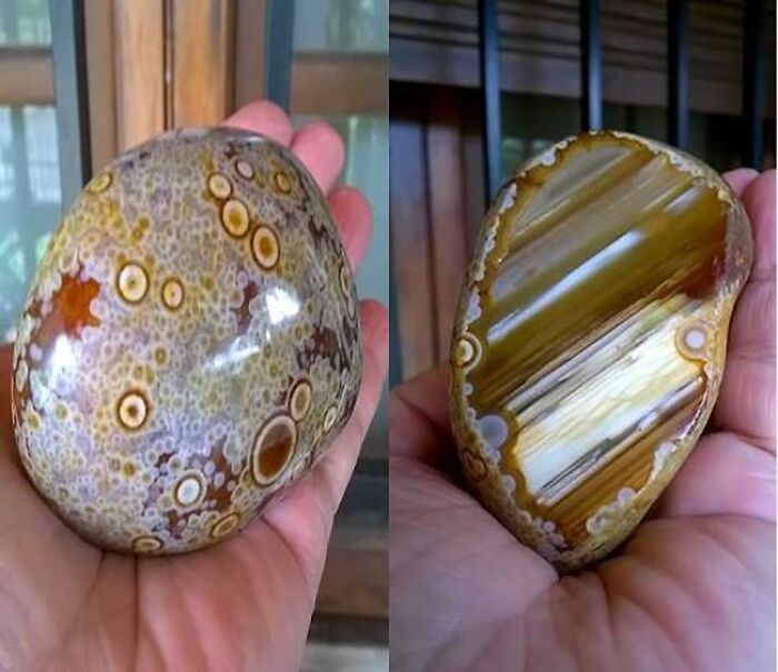 Surprising photos of objects cut in half: a person holding an intact agate stone and its polished half, revealing intricate patterns.