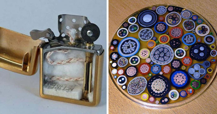 “Not What I Expected”: 86 Interesting And Surprising Photos Of Objects Cut In Half
