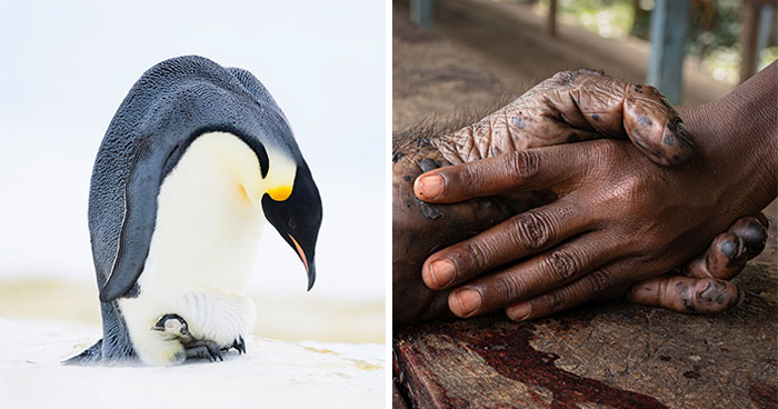 25 Captivating Photos That Might Make You See The Natural World Differently, Shared By GDT