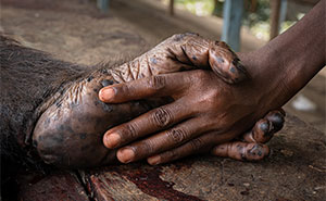 25 Stunning Photos From The 2026 International Nature Photography Festival