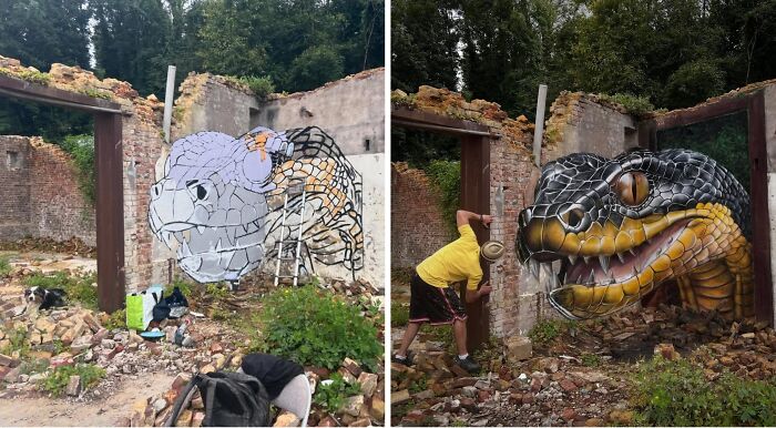 A French artist transforms ordinary walls into mind-bending 3D illusions, painting a snake head on a ruined wall.