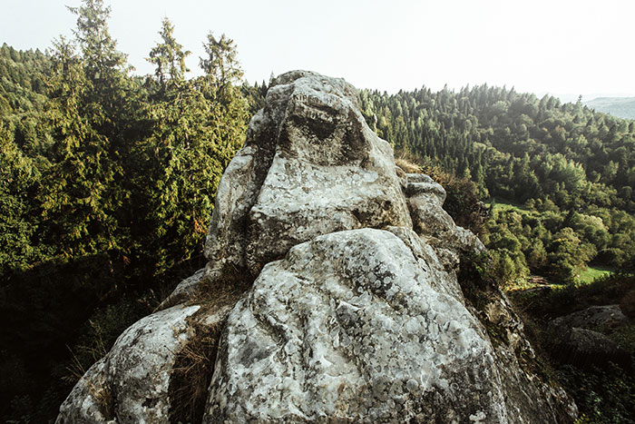 A large rock formation in a forest, symbolizing the unique and weird jobs found globally.