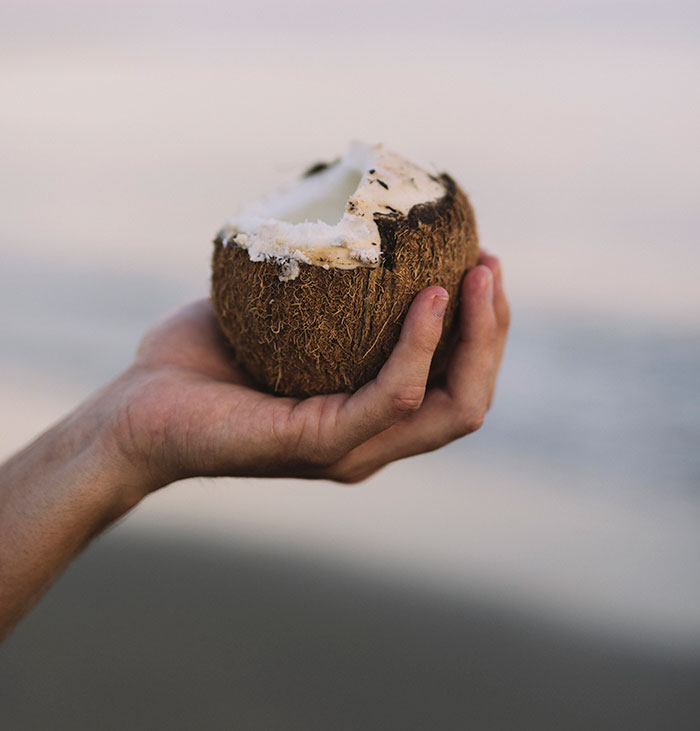 A hand holding a cracked open coconut, representing one of the unusual jobs that pay people.