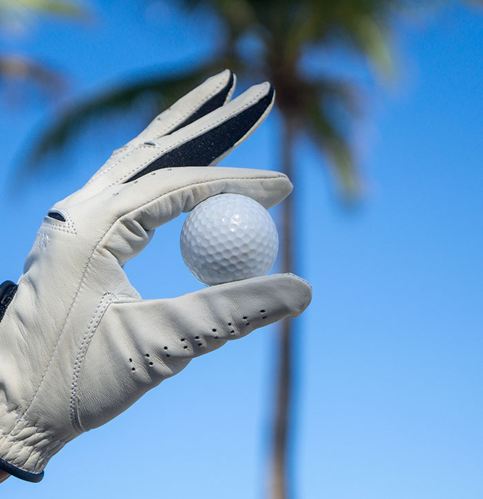 A gloved hand holding a golf ball with palm trees in the background, a unique example of paid jobs.