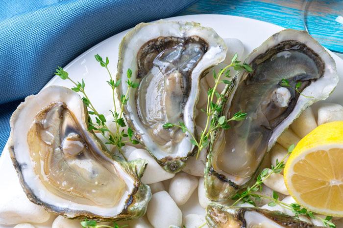 Three raw oysters on a bed of white stones with lemon and herbs, a potential cause of brain damage. Three raw oysters on a bed of white stones with lemon and herbs, a potential cause of brain damage.