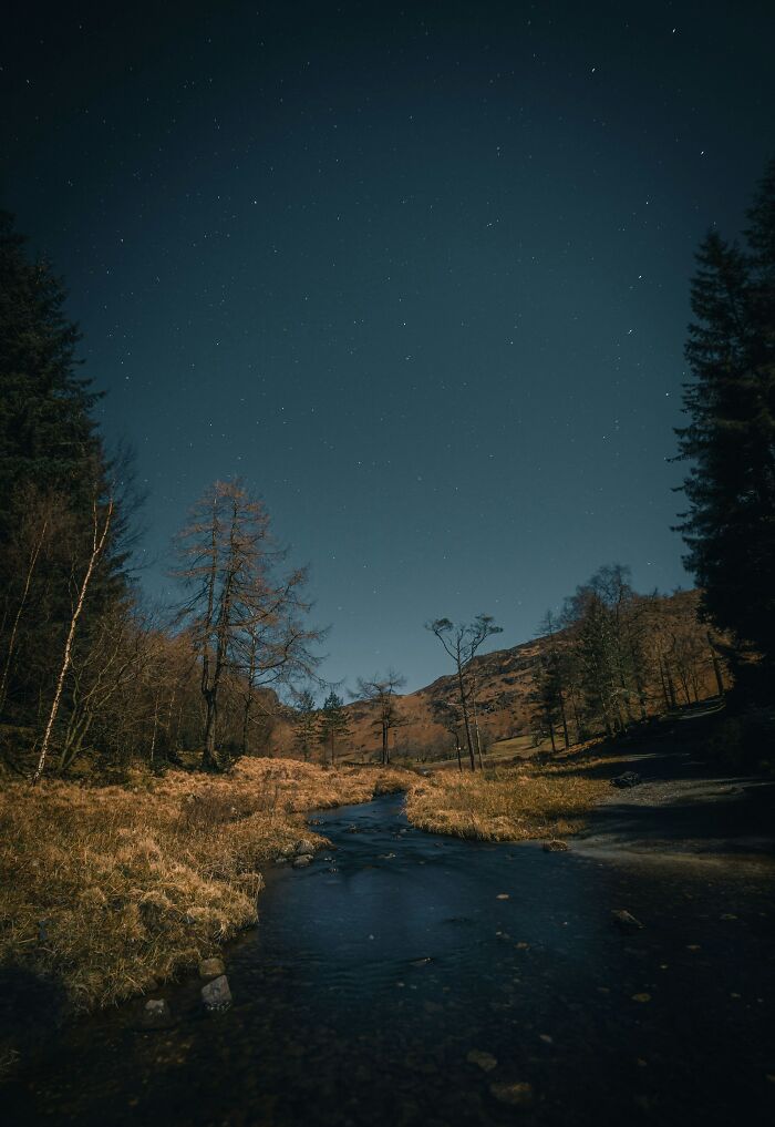 A scenic night landscape with a river flowing through a forest under a starry sky. The neighbors are interesting.