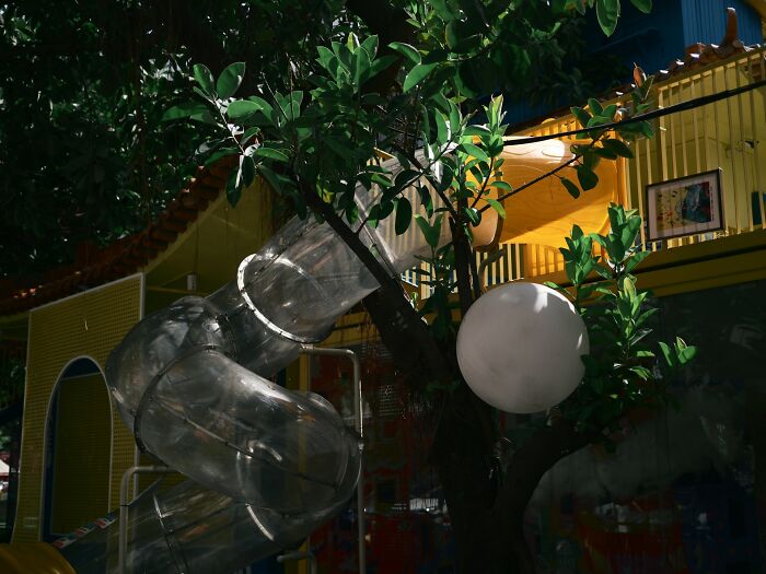 College life: An outdoor play structure with slides and trees, symbolizing the playful and liberating moments of college life.