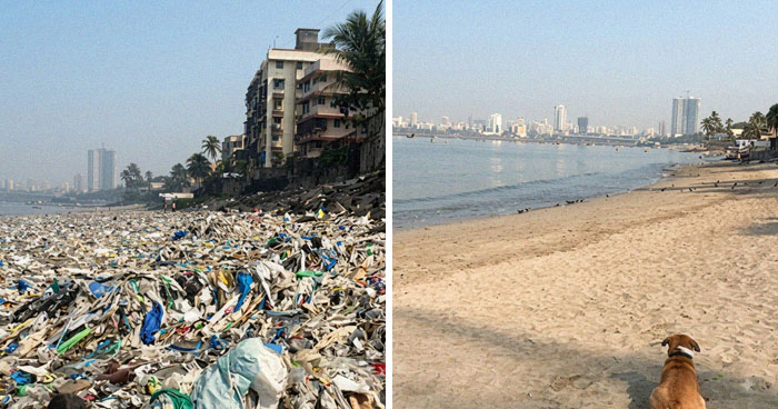 80 Litter Cleanup Pics That Prove One Person Can Make A Surprisingly Big Difference