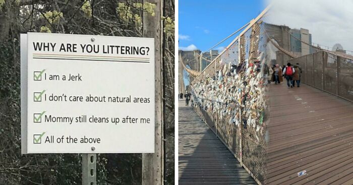 80 “Detrashed” Photos That Are Both Satisfying And Depressing