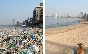 “The Real Trash Are The People”: As Trash Takes Over The World, These Folks Should Be The Real Influencers