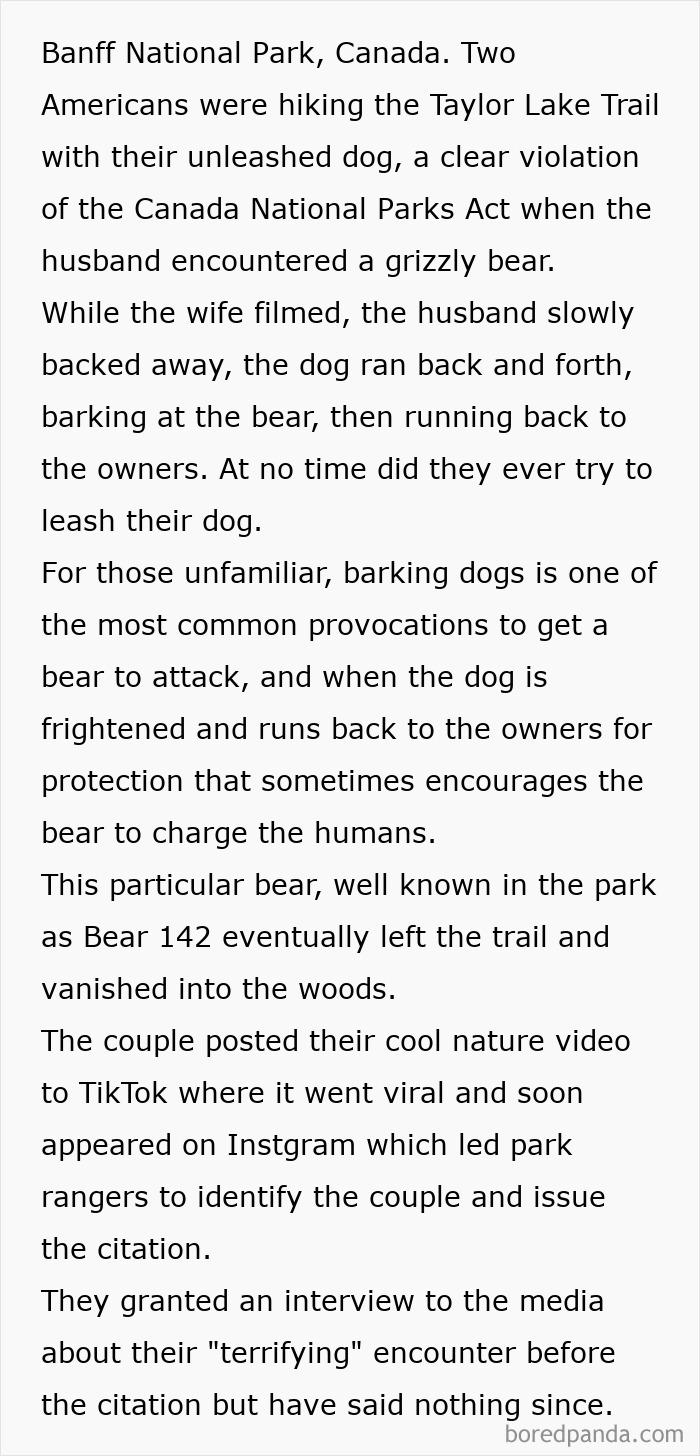 Entitled folks hiking in Banff National Park with an unleashed dog, violating park rules and encountering a grizzly bear.