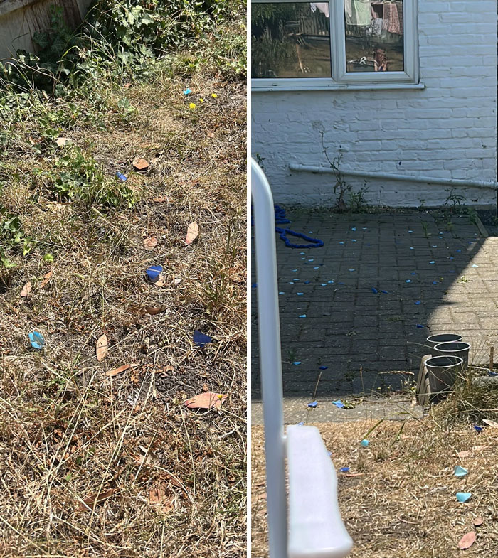 Entitled folks have left a mess of deflated balloons and debris in a backyard, showing a blatant disregard.