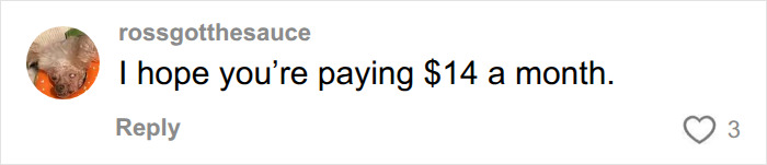 A comment on the video, jokingly suggesting the rent for the small NYC apartment should be only $14 a month. A comment on the video, jokingly suggesting the rent for the small NYC apartment should be only $14 a month.