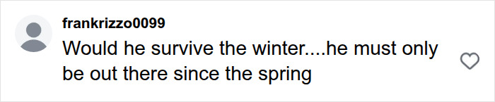 A social media comment from frankrizzo0099 wondering if the animal eaten by huge pythons could survive winter. A social media comment from frankrizzo0099 wondering if the animal eaten by huge pythons could survive winter.